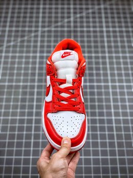 图2_NK Dunk Low