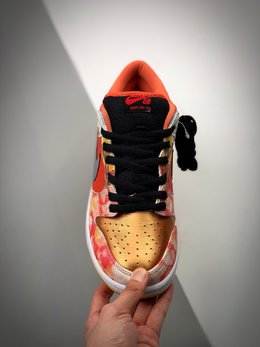 图2_NK SB Dunk Low Pro